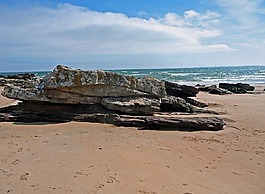 巖,海岸,蘇格蘭