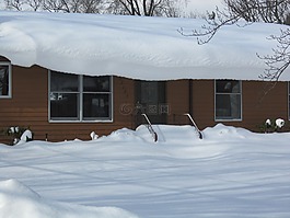 冬天,雪,冷
