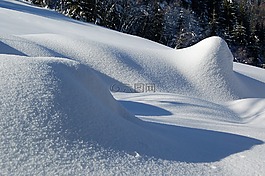 冬天,雪,白
