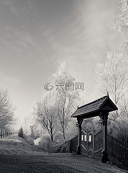植物園,雪,冬天