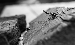 建筑,工作,帶