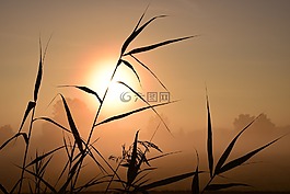 日出,背光,心情