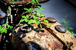 不銹鋼,摩托車(chē),金屬