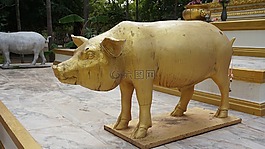 豬,雕像,金