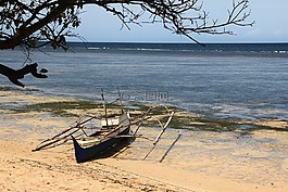 海灘,性質(zhì),景觀