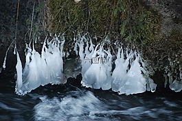 冰山,水,歡呼