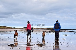 夫婦,海灘,英格蘭