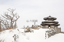 大自然,雪,冬季