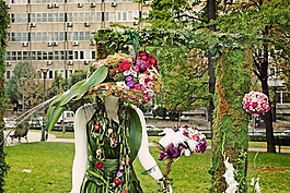 花,貝爾格萊德,自然
