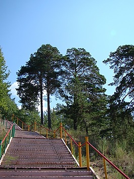 梯子,階段,欄桿