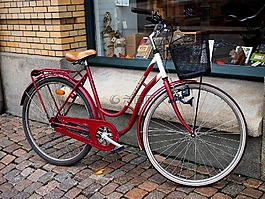 自行車,放寬,體育