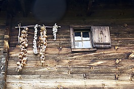 大蒜,老,村