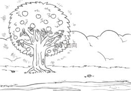 圣經(jīng),storying,ccx