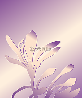 花,花卉背景,側(cè)影