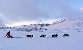 火山,腳,狗雪橇