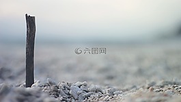棒,海灘,沙