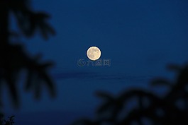 月亮,夜,全