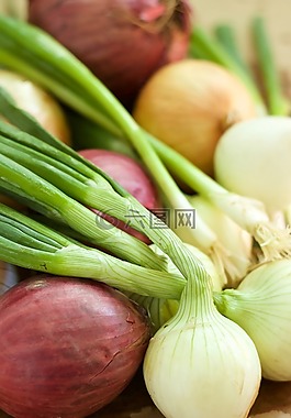 洋蔥,蔬菜,春