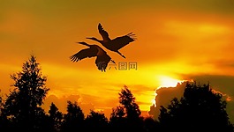 夏季,日落,天空