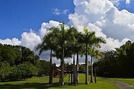 天空,加勒比的,太陽