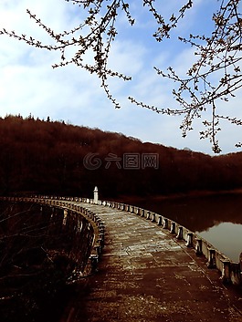 路,坝,森林