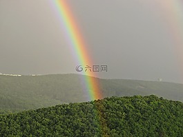 彩虹,天空,木材