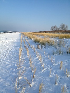 海岸,冬天,雪