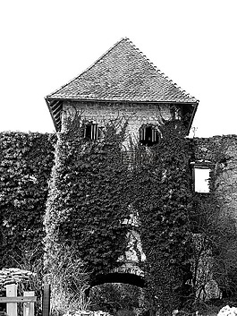 斯洛文尼亞,老房子,結(jié)構(gòu)