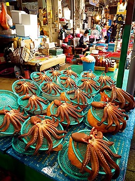 魚,捕捉,釣魚