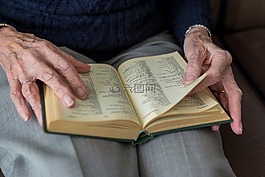 書,人,成人