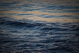海,濱,波浪