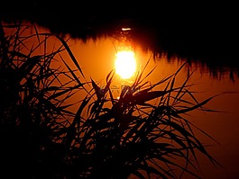 日落,太陽,水