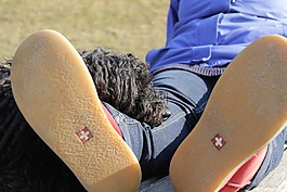 狗,鼻子,友誼