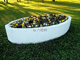 鮮花,維多利亞公園,莫斯科