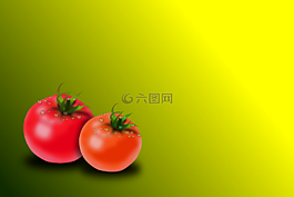 番茄,西紅柿,水果