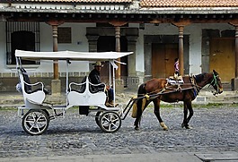 墨西哥,普埃布拉,馬車
