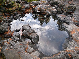 反思,水坑里,潮池
