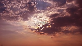 天空,羅莎,紫