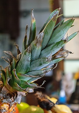 水果,菠萝,香蕉