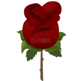 羅莎,鮮花,紅玫瑰