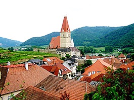 weissen家家庭经营的酒店,下奥地利州,景观