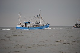 渔船,norderney,捕鱼