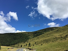 自然,美,绿色