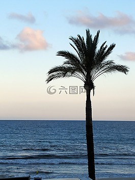 日落,海灘,海