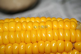 玉米,烧瓶,熟