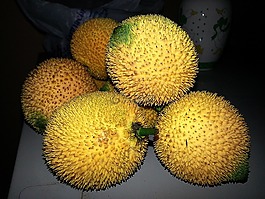水果,酸,ocoro