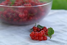 水果,葡萄干,traeuble