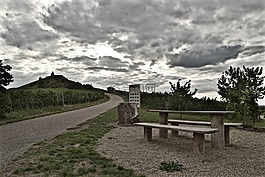 天空,風(fēng)暴,葡萄園