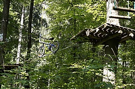 爬,高空绳索课程,登山森林
