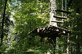 爬,高空绳索课程,登山森林